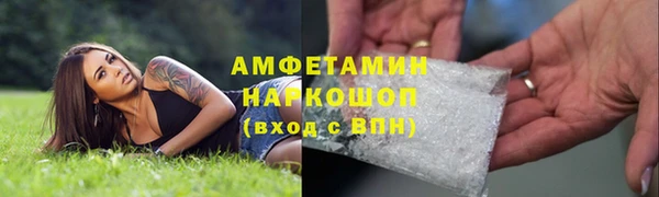 ПСИЛОЦИБИНОВЫЕ ГРИБЫ Вязьма
