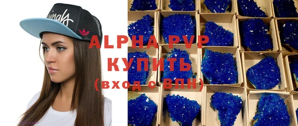 ПСИЛОЦИБИНОВЫЕ ГРИБЫ Вязьма
