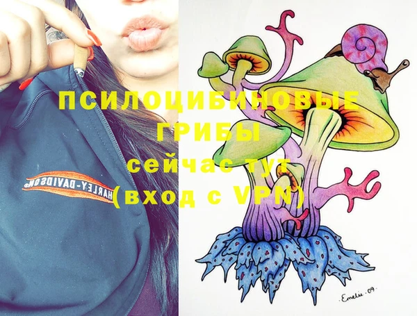 ПСИЛОЦИБИНОВЫЕ ГРИБЫ Вязьма